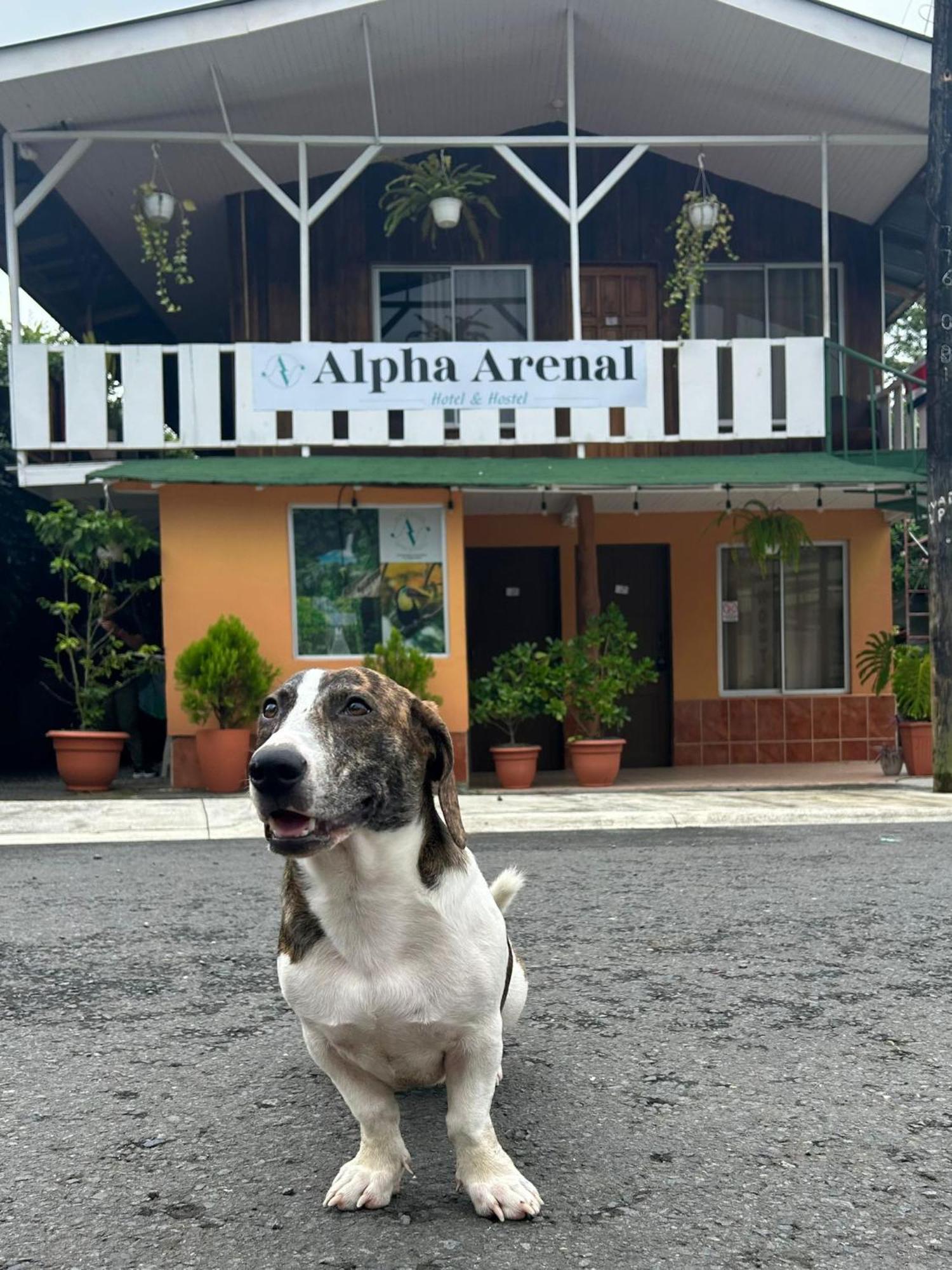 Alpha Arenal La Fortuna Exterior foto
